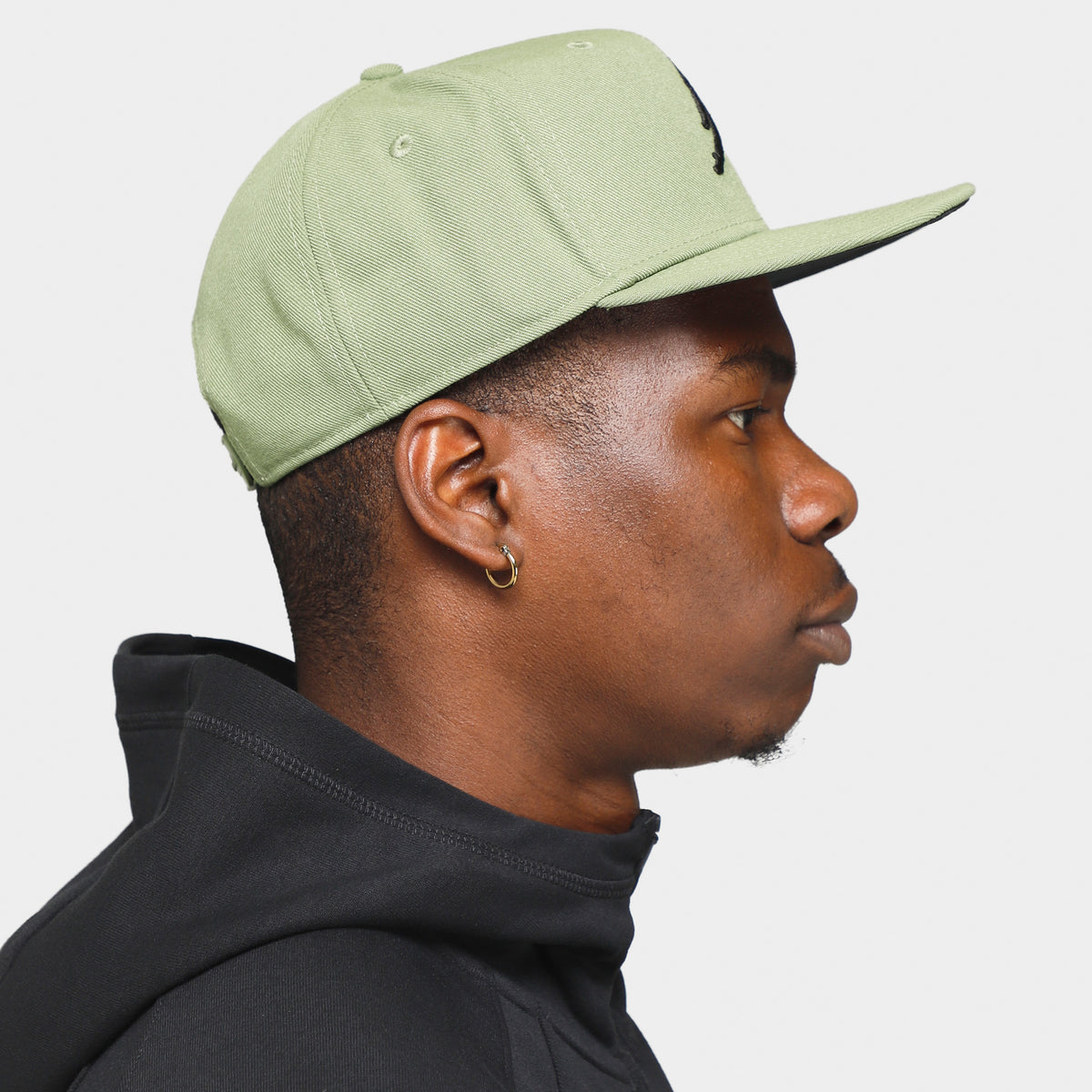 Jordan pro clearance snapback