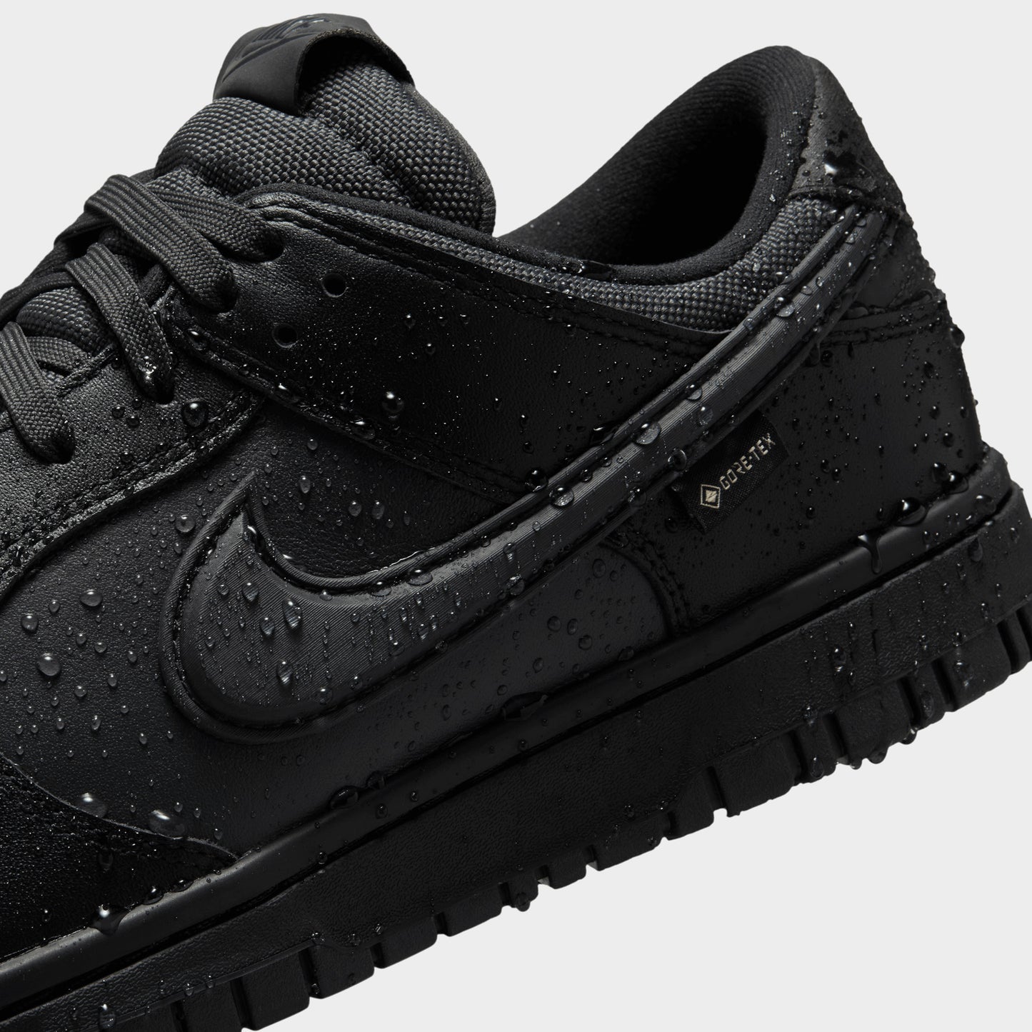 Nike Dunk GTX Black / Black