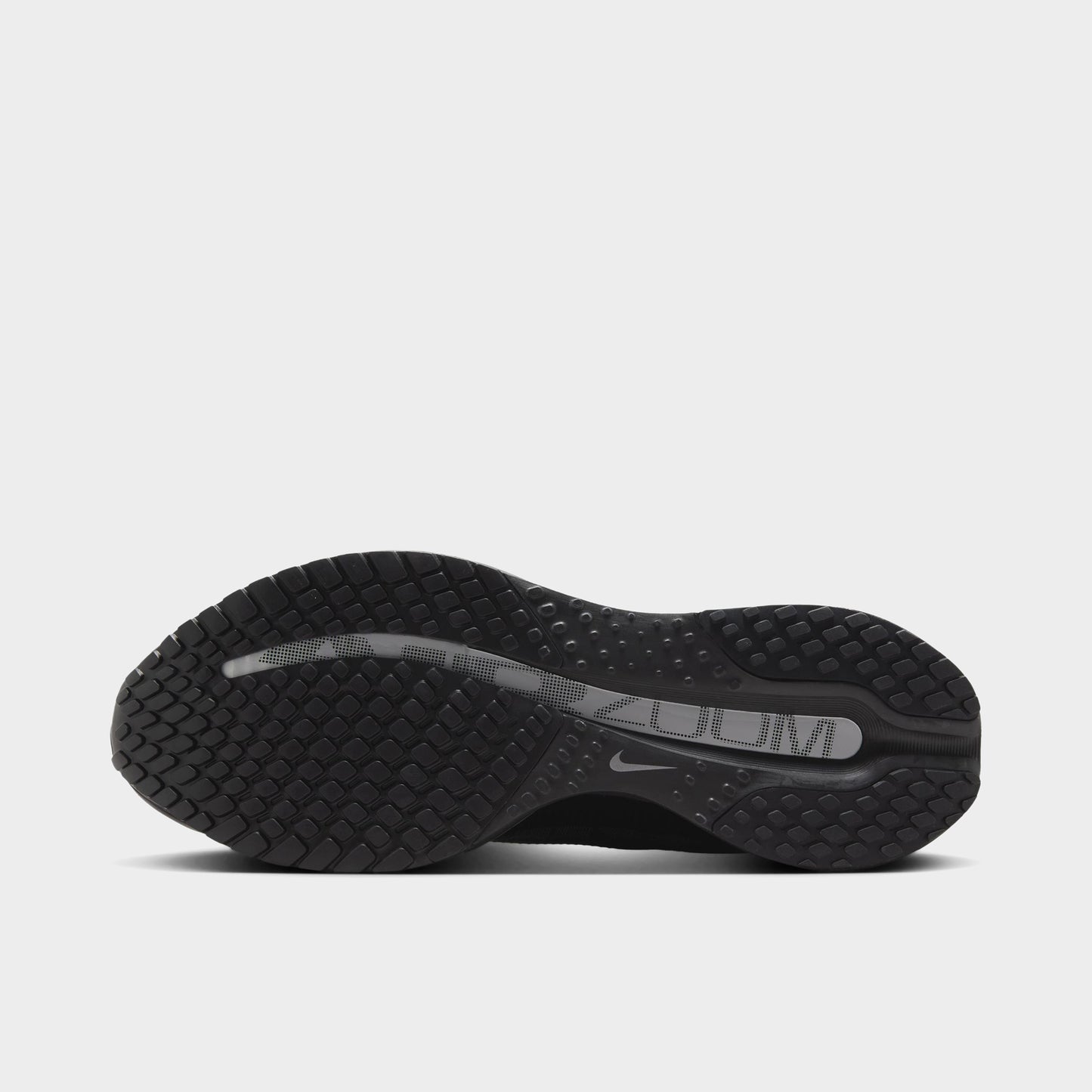Nike Pegasus Premium Noir / Noir - Argent métallisé