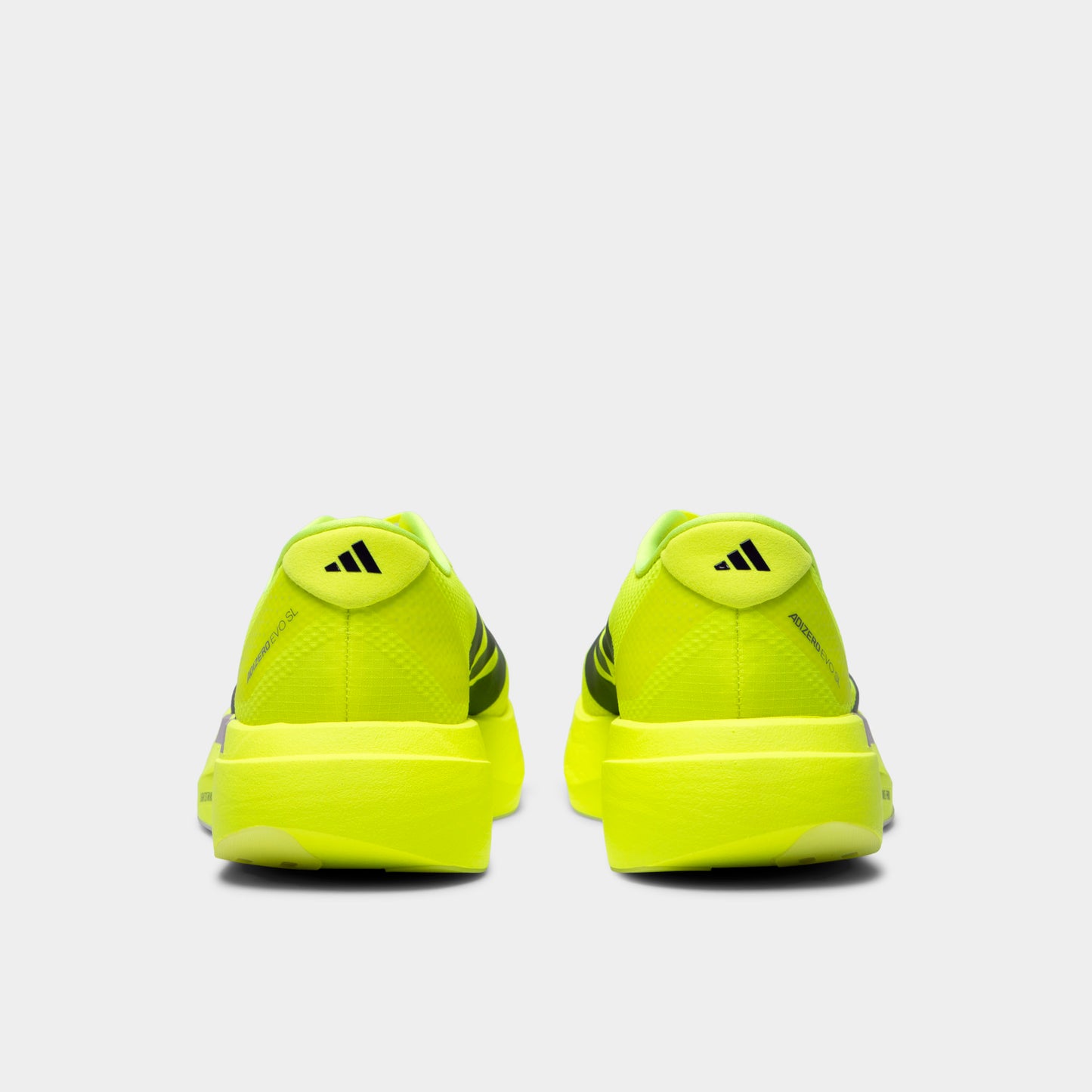 adidas EVO SL Solar Yellow / Plum