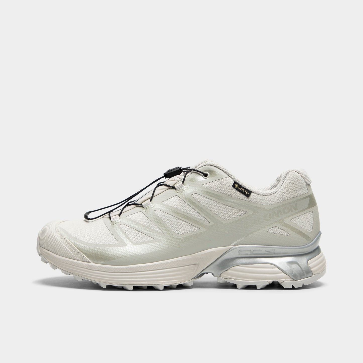 Salomon XT-Pathway GTX Roche lunaire / alliage