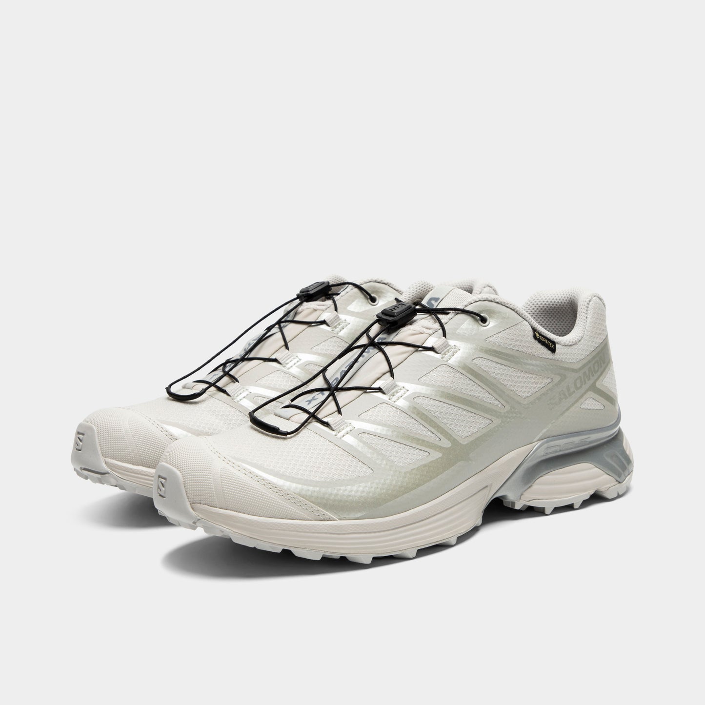Salomon XT-Pathway GTX Roche lunaire / alliage