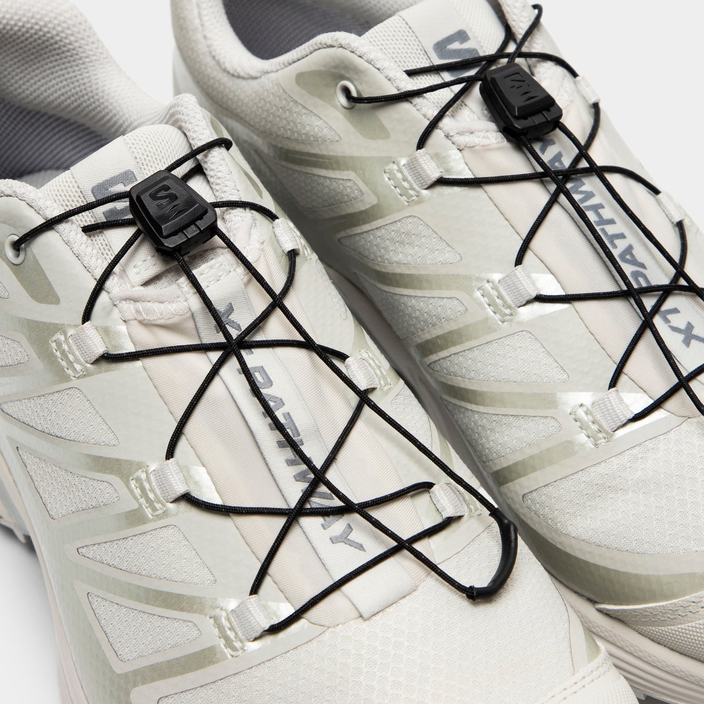 Salomon XT-Pathway GTX Roche lunaire / alliage