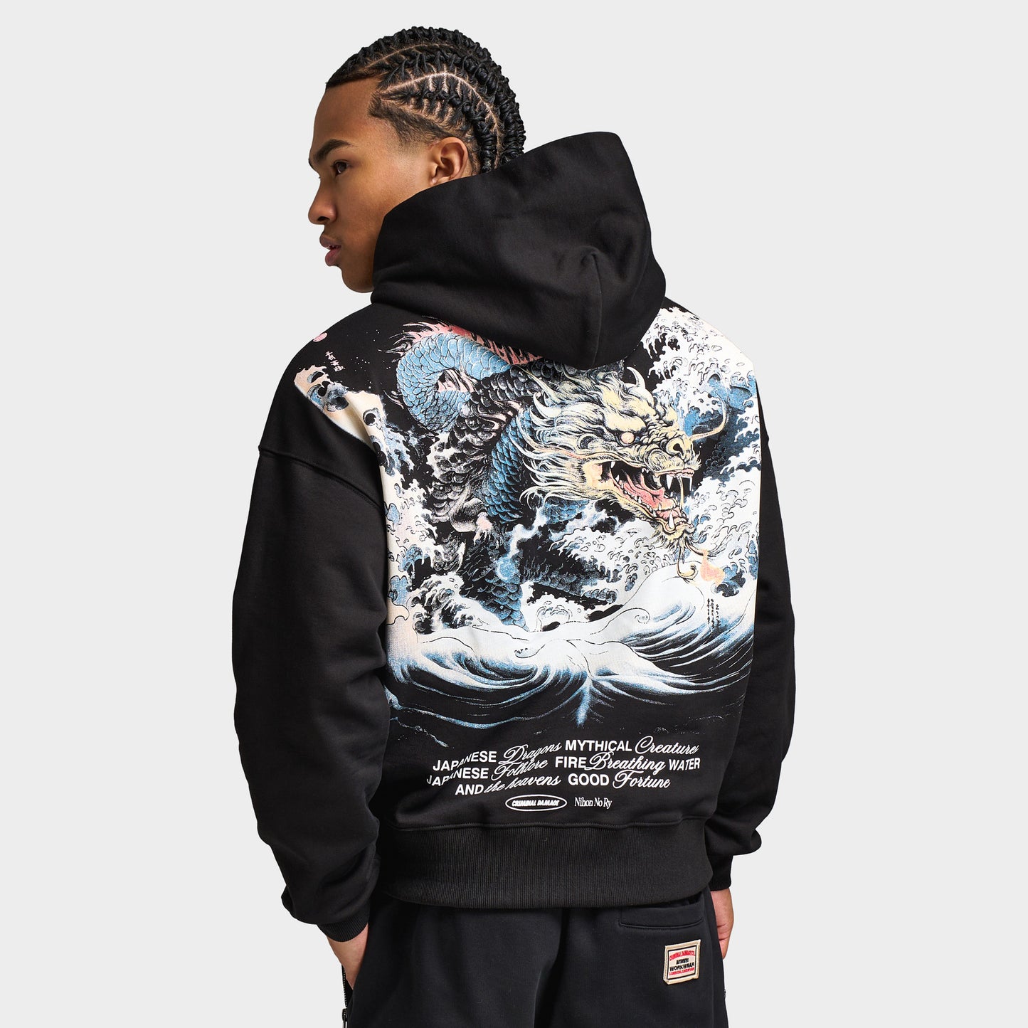 Criminal Damage Mythology Chandail à Capuchon / Noir