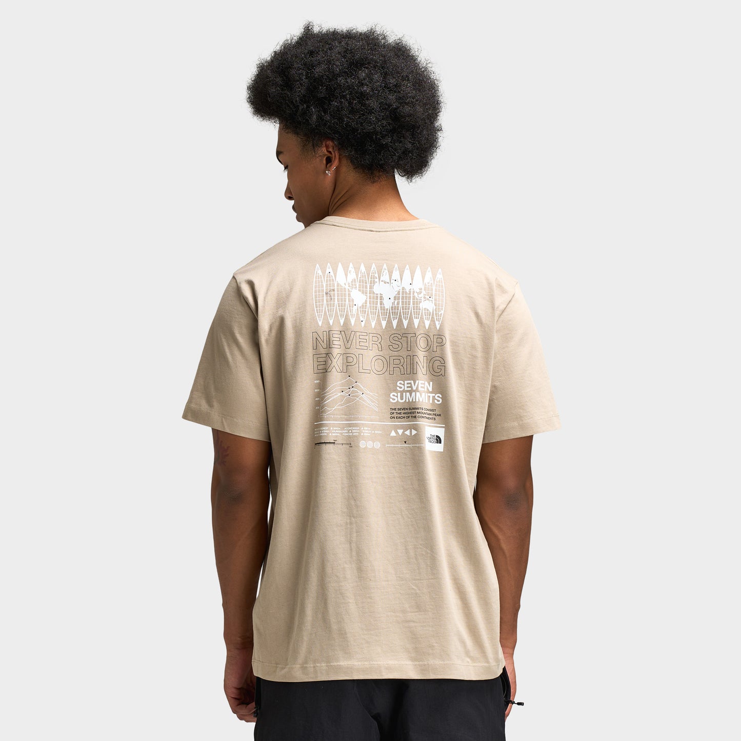The North Face Globe Relaxed T-Shirt / Flax