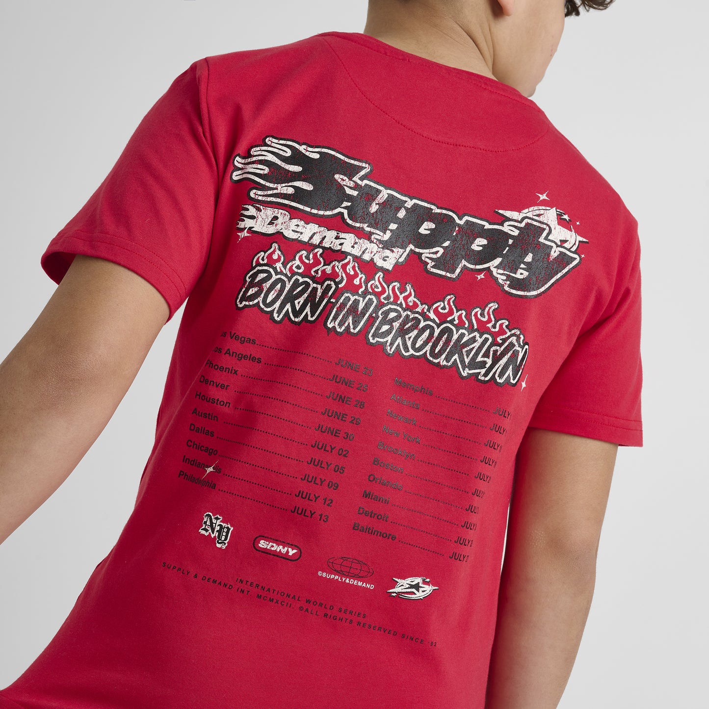 Supply & Demand Junior Boys' Martinez T-Shirt Red / Black
