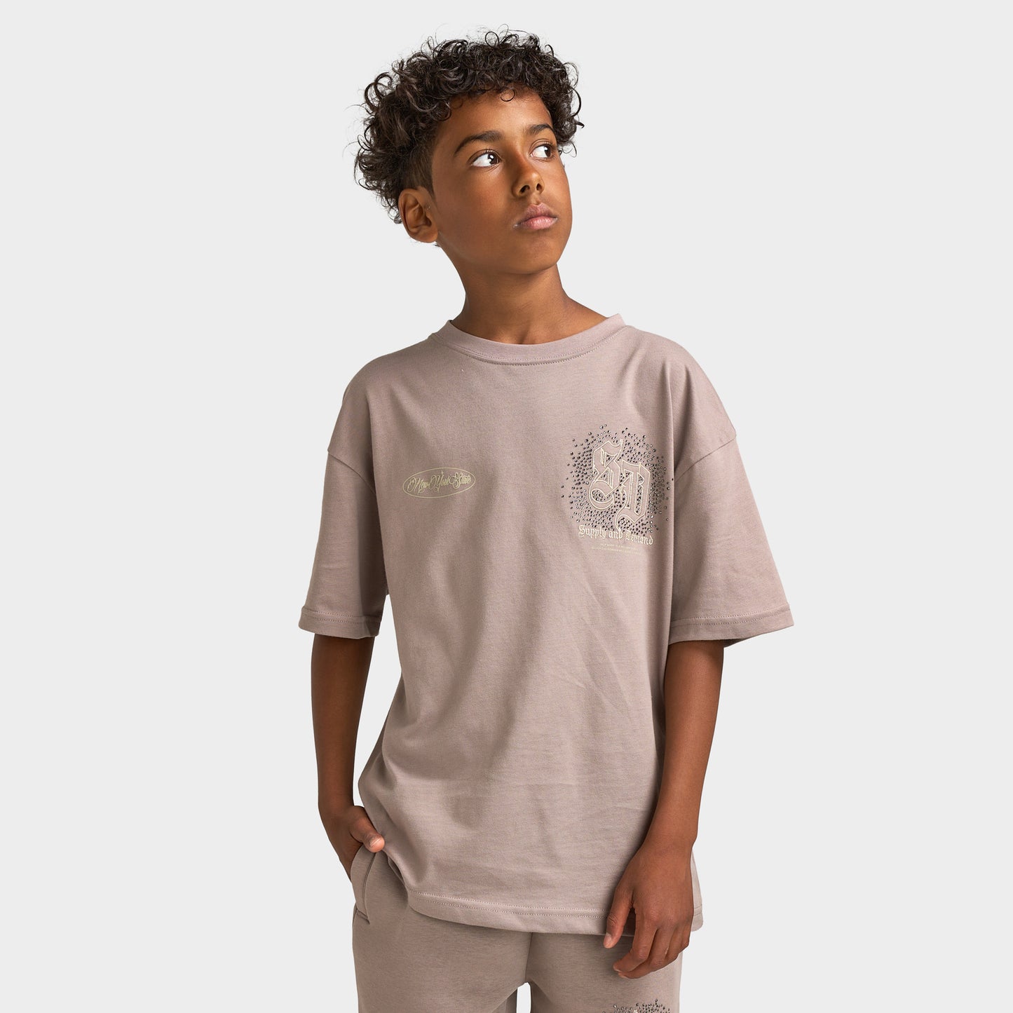 Supply & Demand Junior Garçons T-shirt Flinkley / Bois Flotté