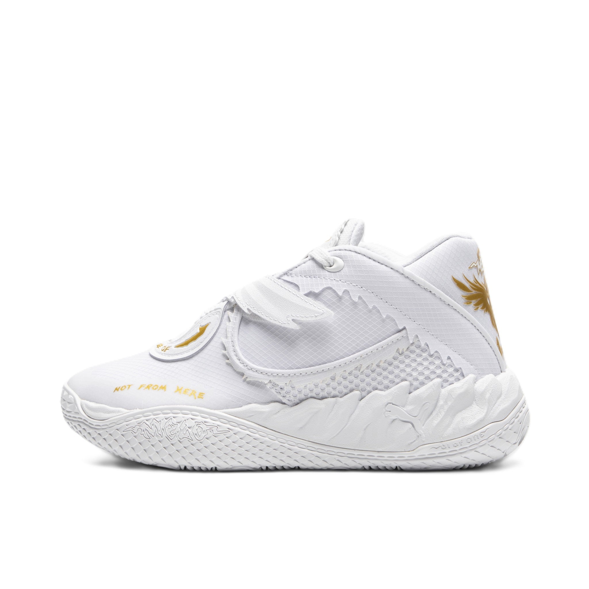 foot locker canada shoe release dates