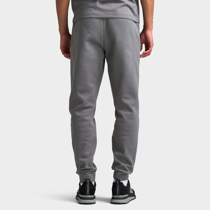 EA7 Joggers / Pewter