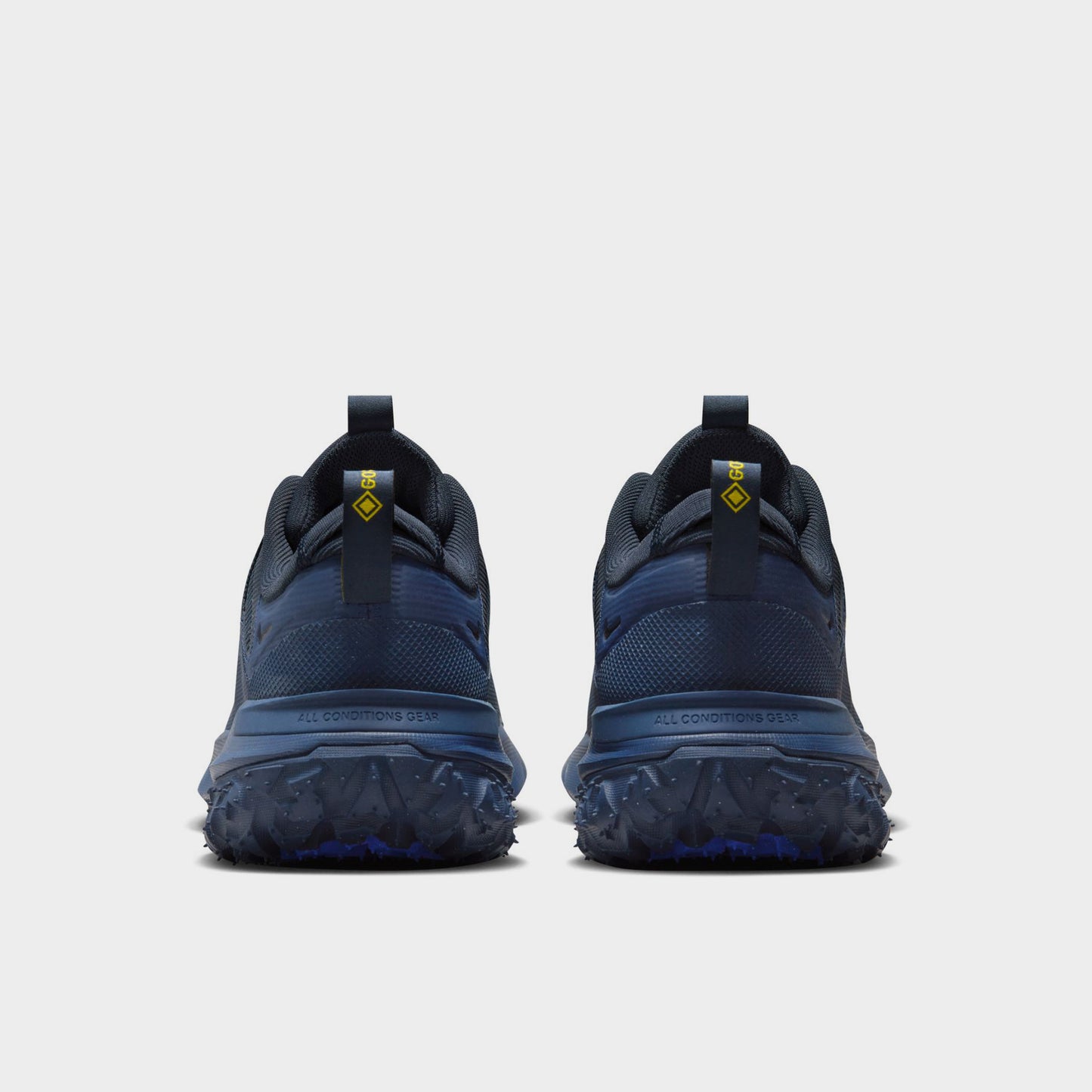 Nike ACG Mountain Fly 2 Low GTX Dark Obisidian / Wolf Grey