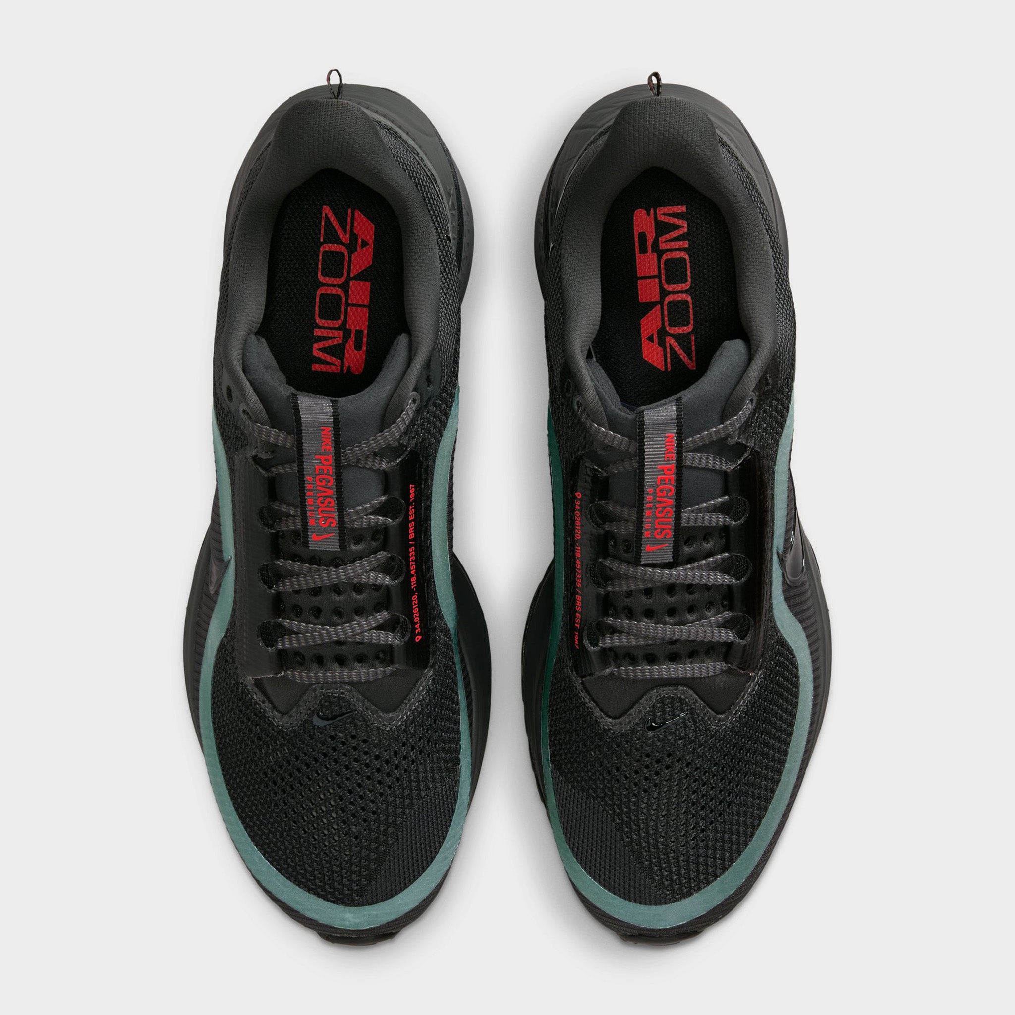 Nike Pegasus Premium Black / Red – JD Sports