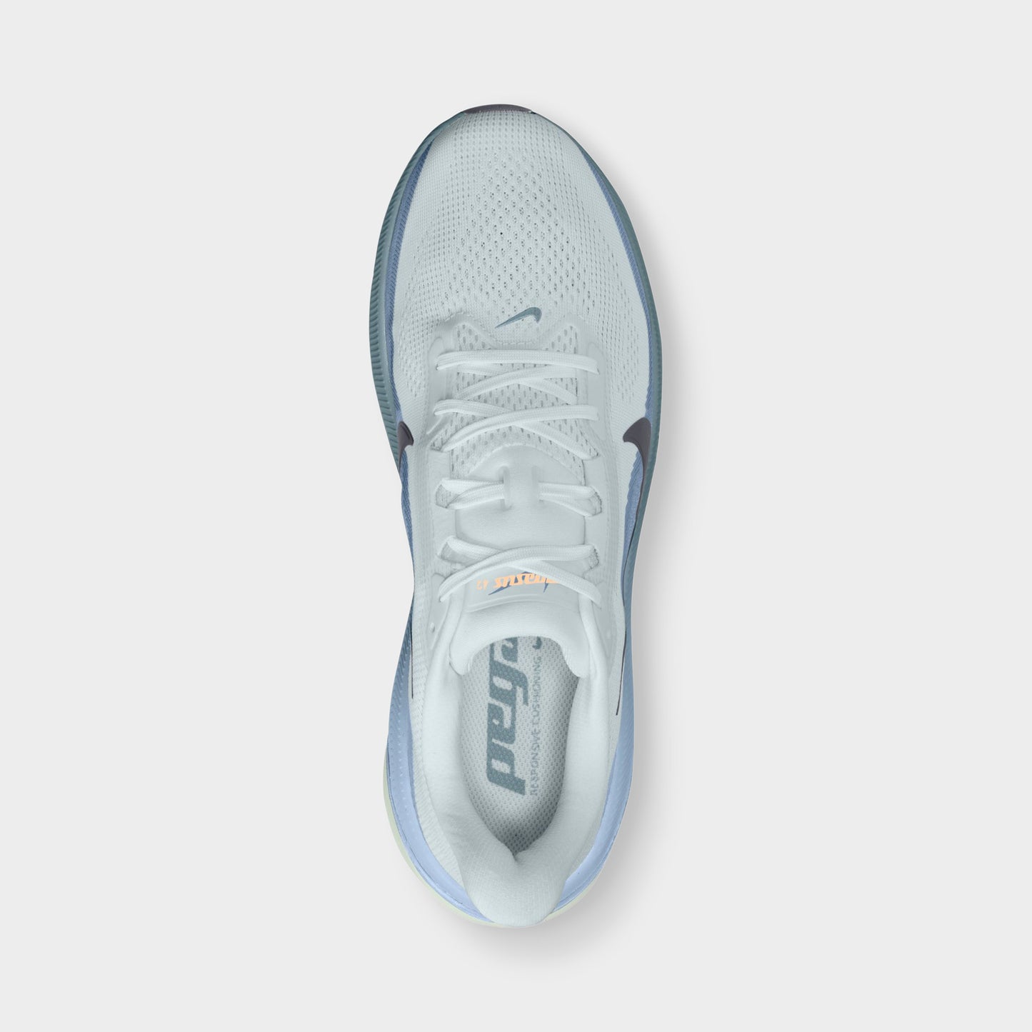 Nike Pegasus 42 Pure Platinum / Dark Obsidian - Work Blue