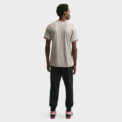 Nike England x PALACE Academy Pro Pre-Match / Pewter Grey