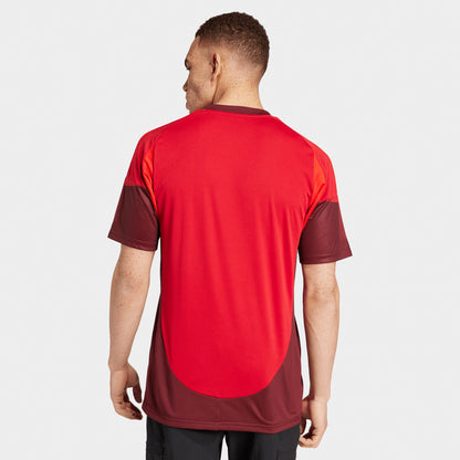 Équipe adidas Toronto / Rouge