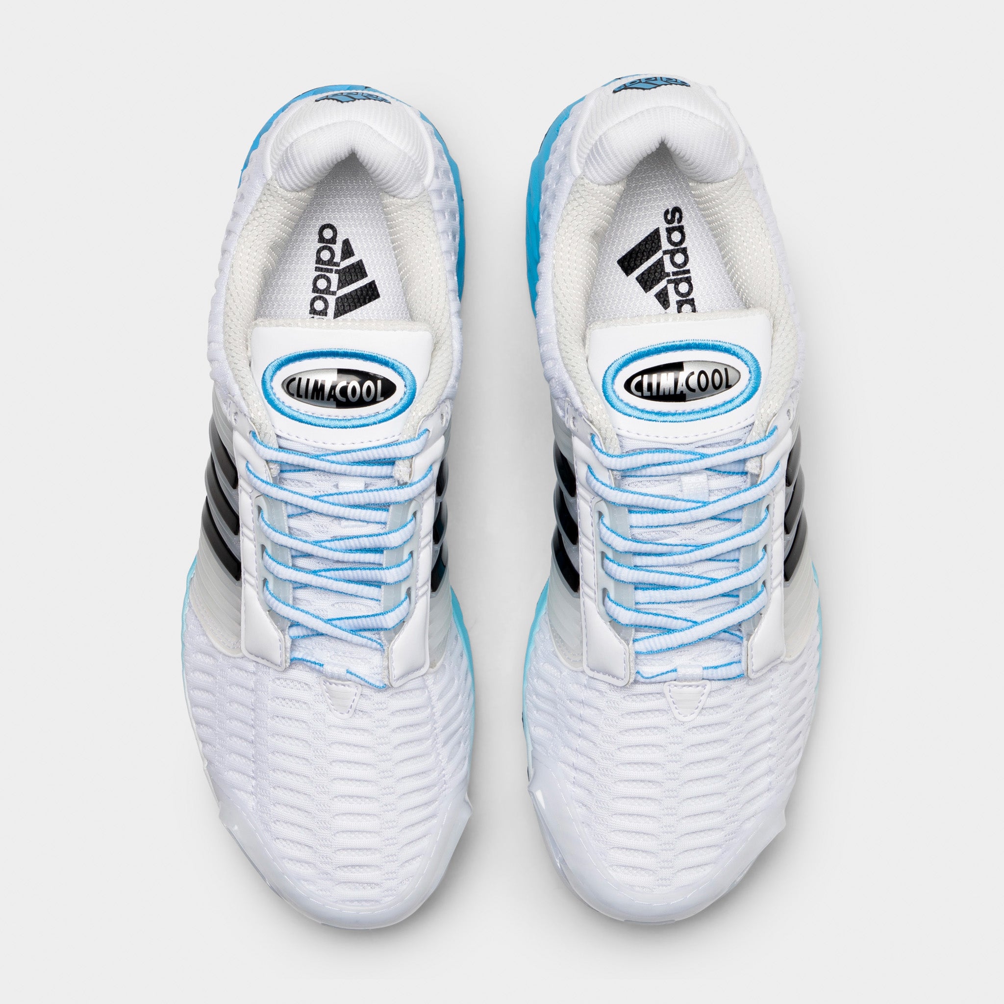 adidas Climacool 1 Future White / Core Black - Sea Blue – JD Sports