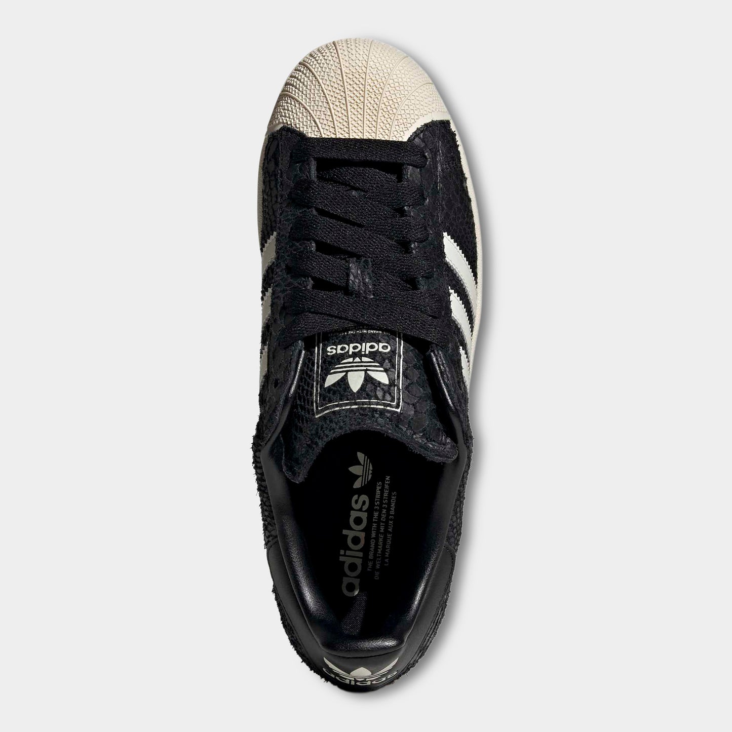 adidas Superstar Noir Carbone / Blanc - Blanc Crème