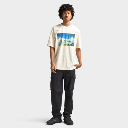 The North Face M66 Pantalon cargo / TNF Noir