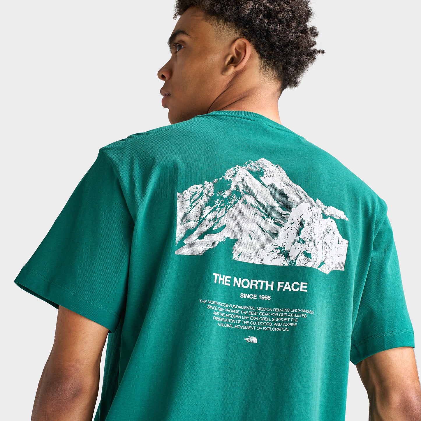 The North Face Mountain X-Ray T-Shirt / Green