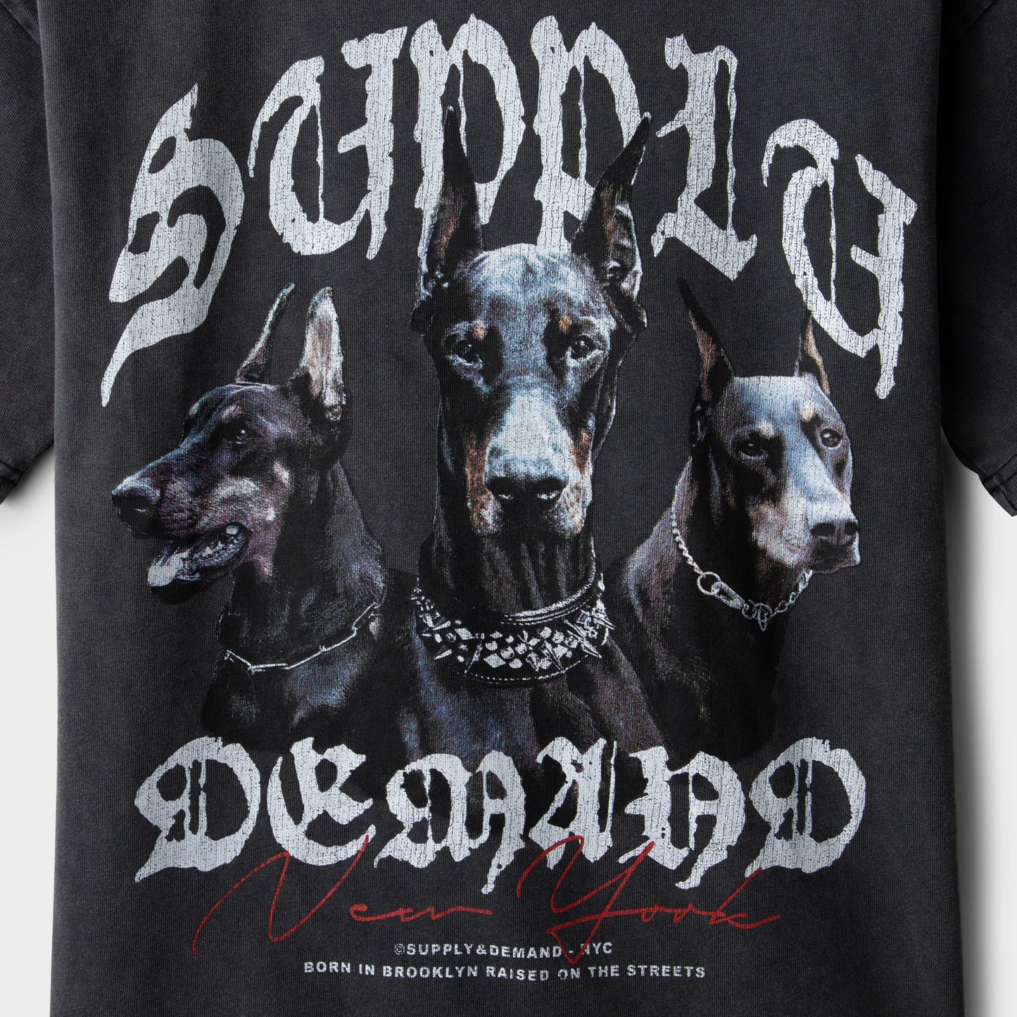 Supply & Demand Junior Boys' Brooker Tee Washed Black