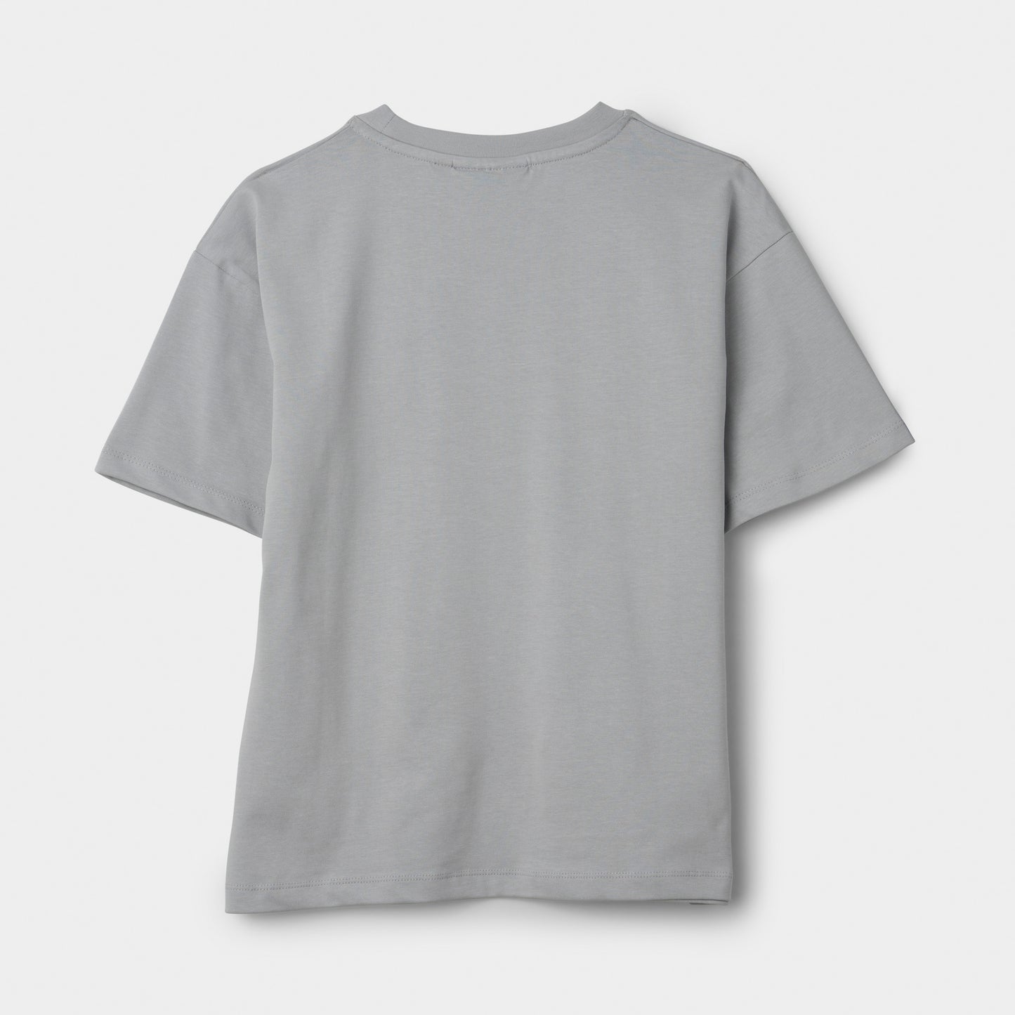 Supply & Demand Junior t-shirt Vito / Gris clair
