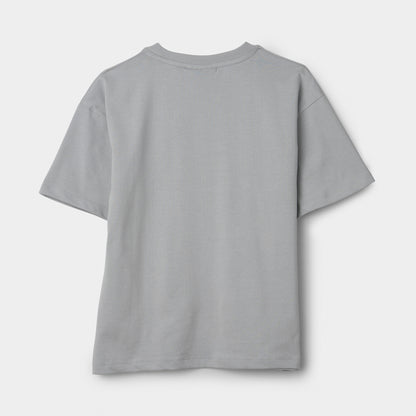 Supply & Demand Junior t-shirt Vito / Gris clair