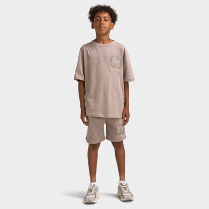 Supply & Demand Junior Garçons T-shirt Flinkley / Bois Flotté