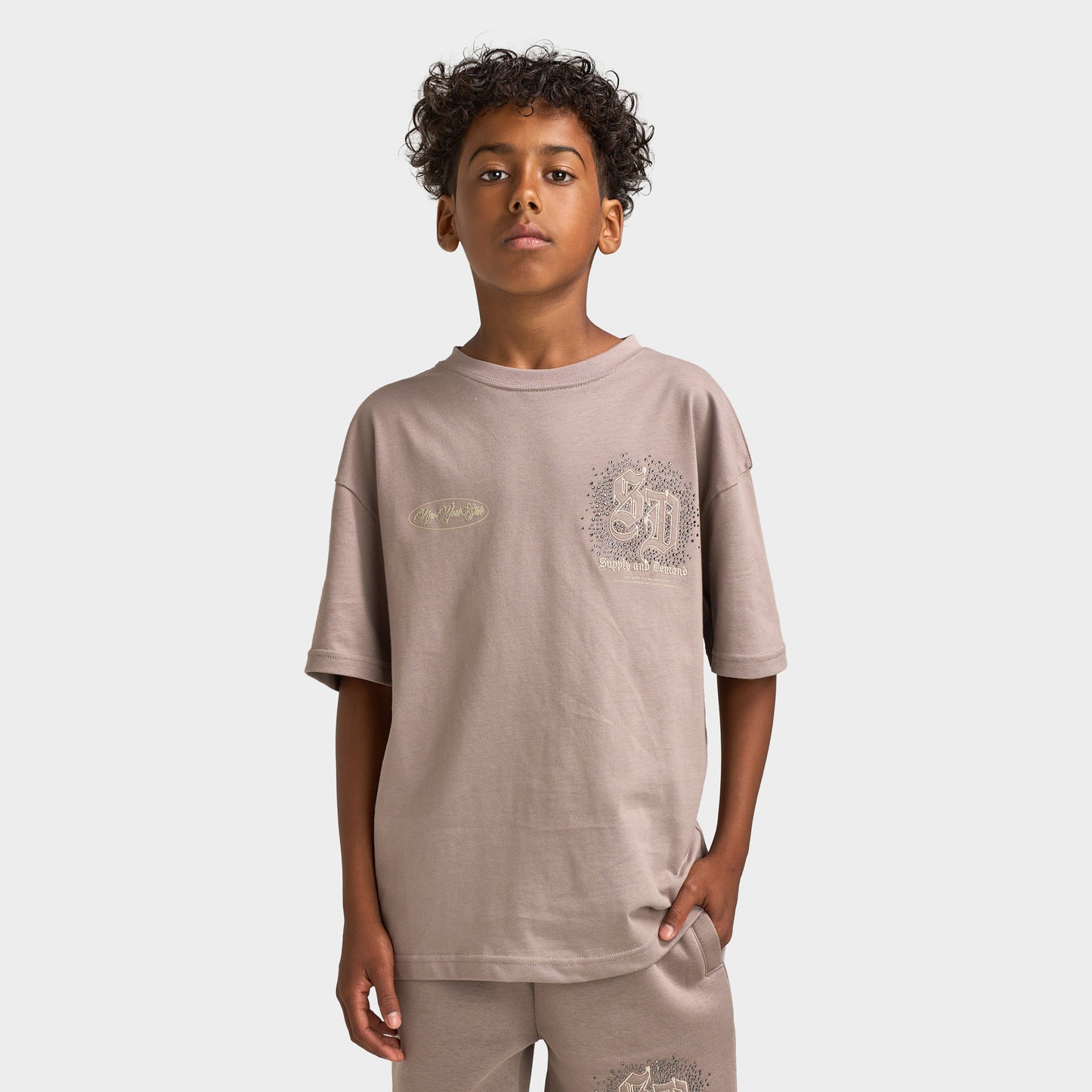 Supply & Demand Junior Garçons T-shirt Flinkley / Bois Flotté