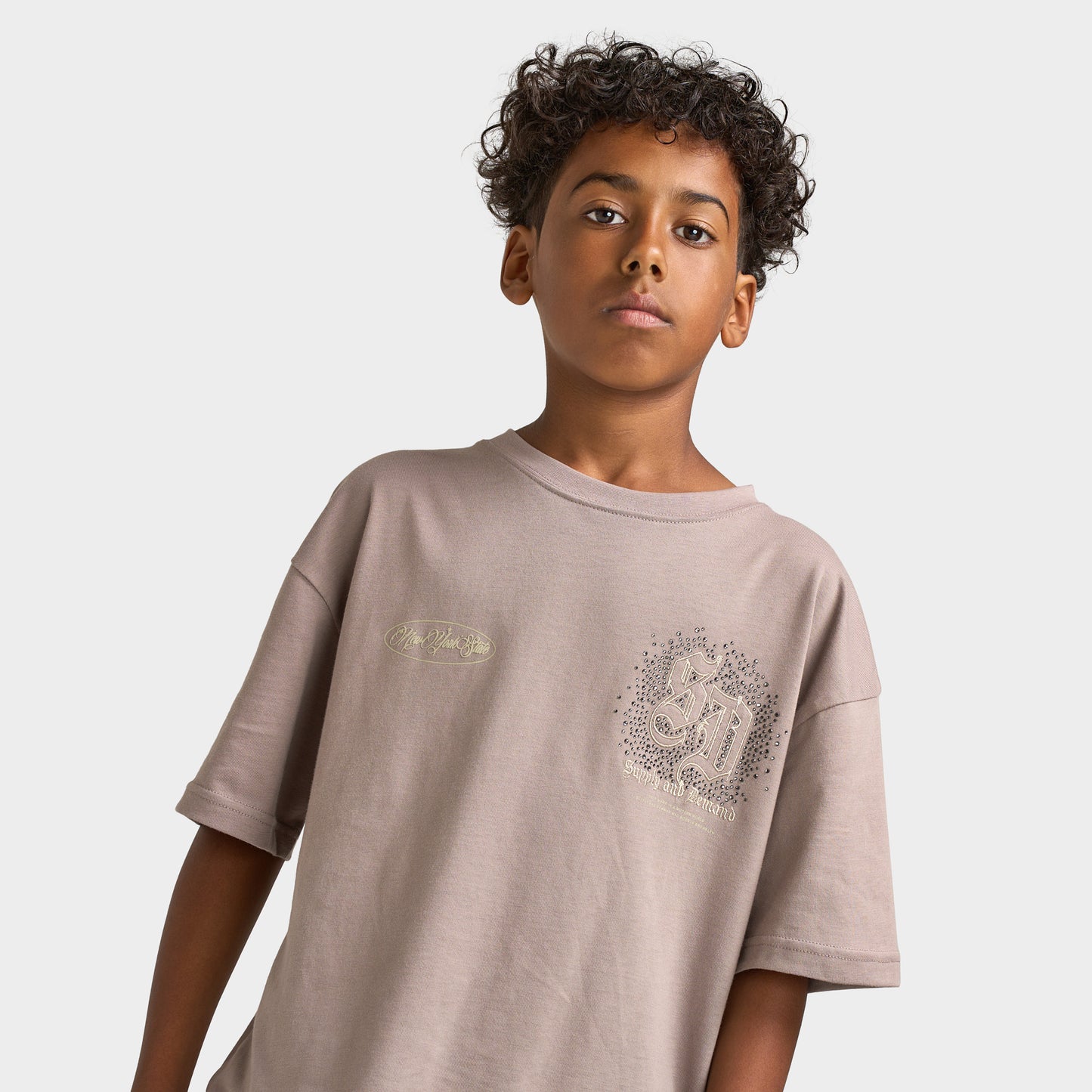 Supply & Demand Junior Garçons T-shirt Flinkley / Bois Flotté