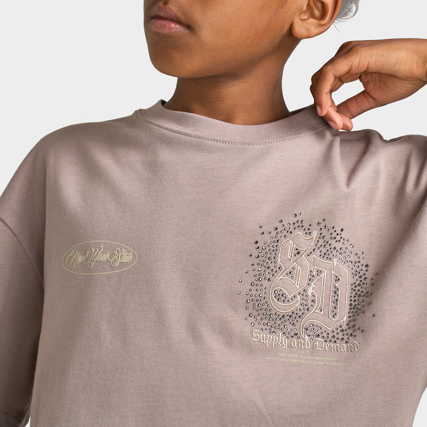 Supply & Demand Junior Garçons T-shirt Flinkley / Bois Flotté