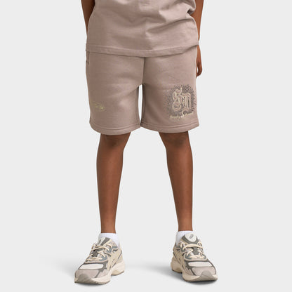 Supply & Demand Junior Garçons Short Flinkley / Driftwood