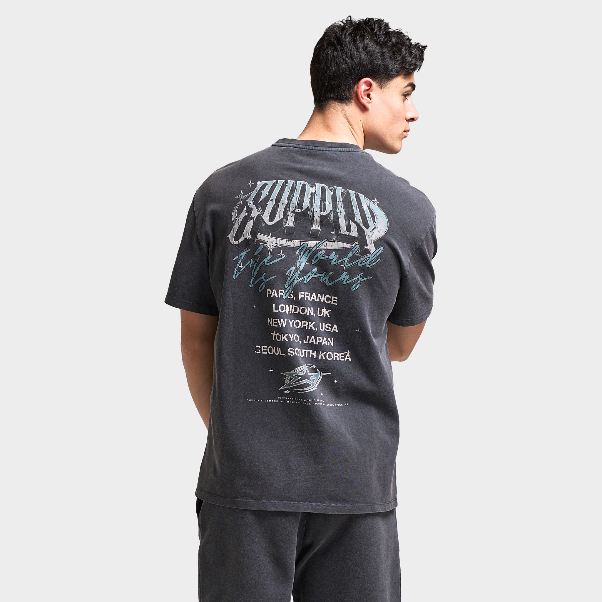 Supply & Demand Chrome Star Graphic T-Shirt / Washed Black