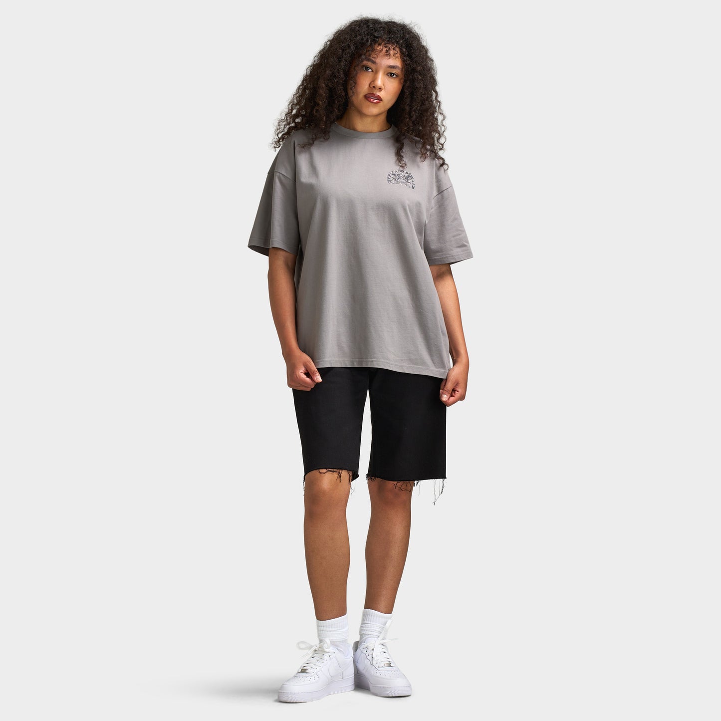 Supply & Demand Chariot T-Shirt / Dark Grey