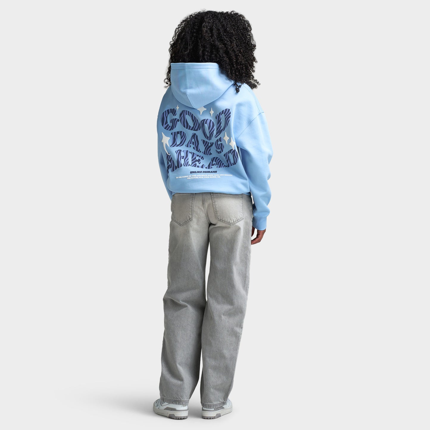 Unlike Humans Zebra Days Hoodie / Dutch canal