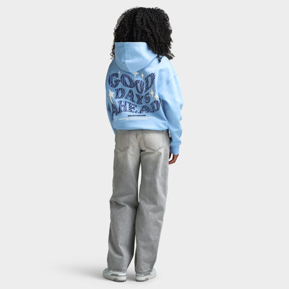 Unlike Humans Zebra Days Hoodie / Dutch canal